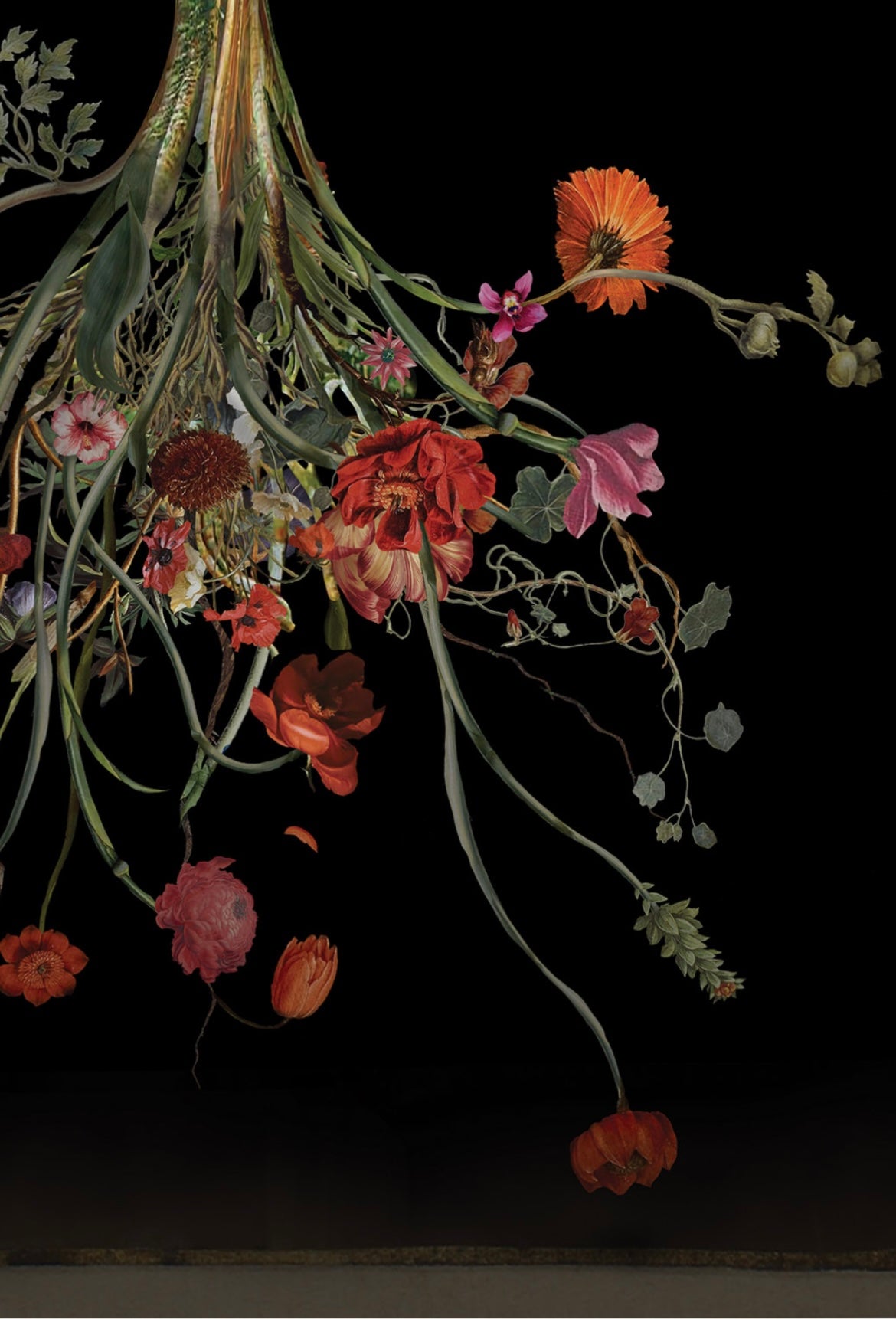 Old-Man-Which-Way-Whatever