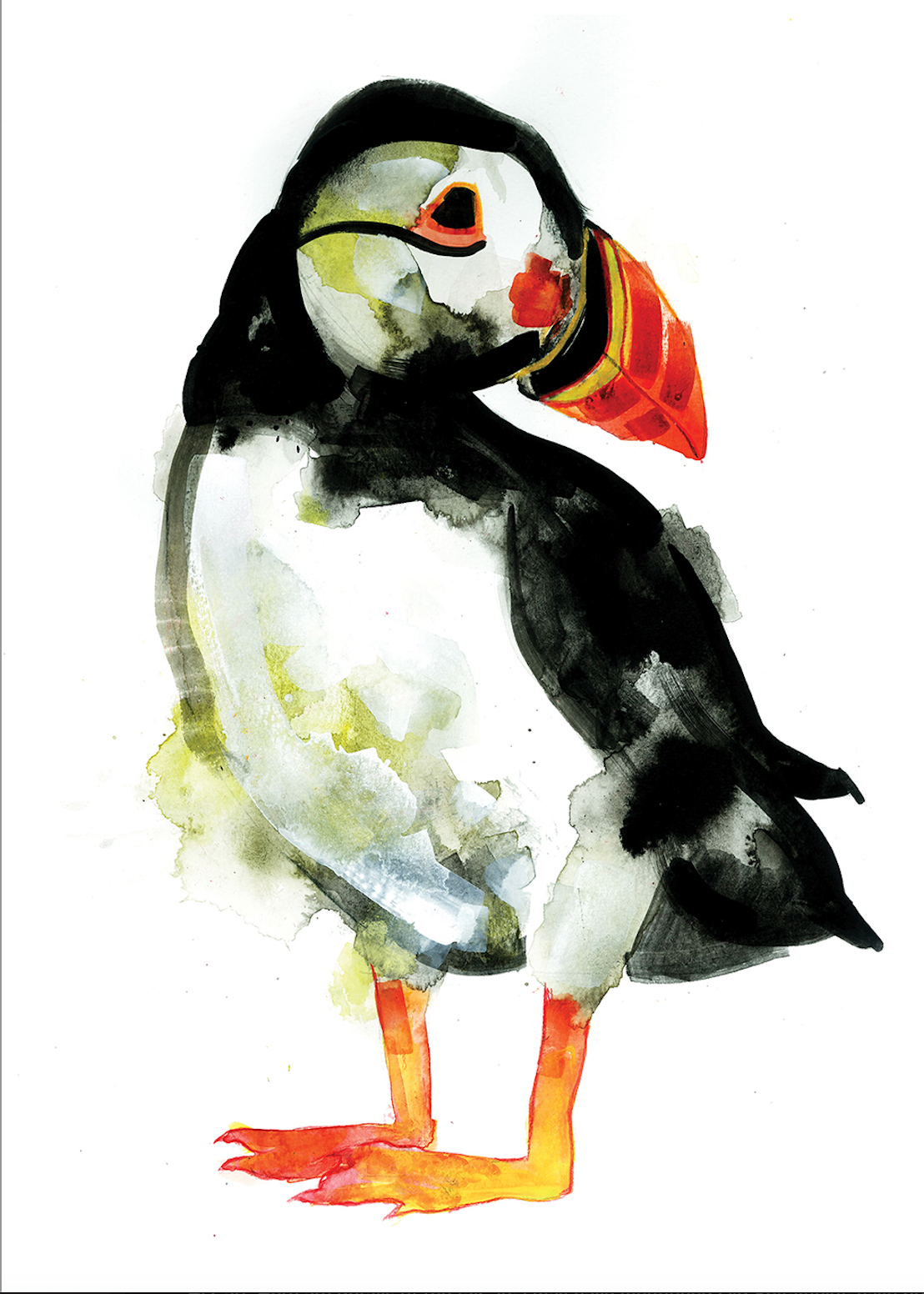 PUFFIN