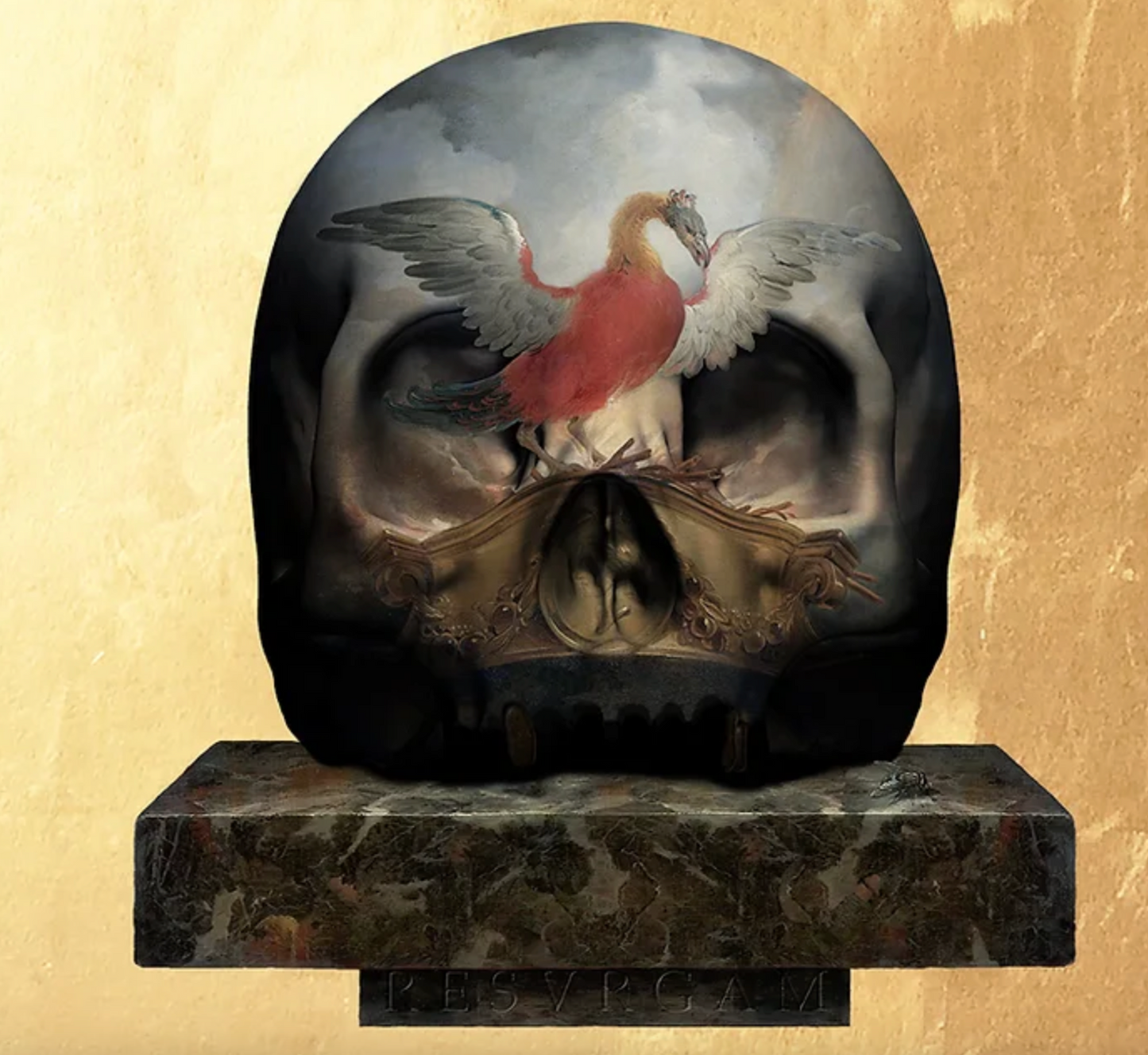 NO LONGER FEAR THE DARKNESS