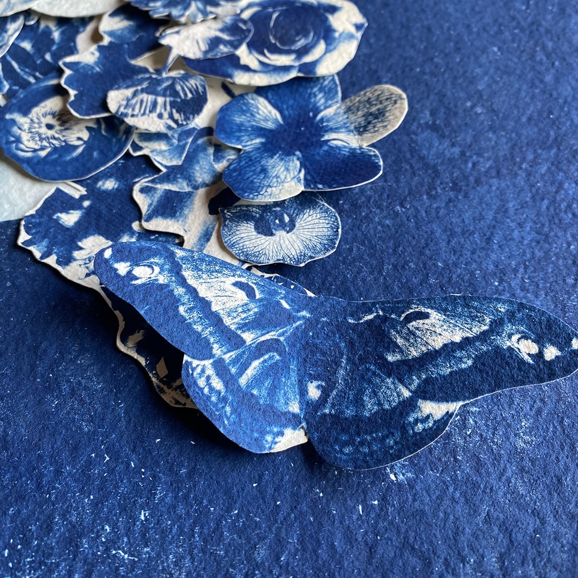 THE FLOWERING GENIUS (ODE TO MARIA MERIAN)
