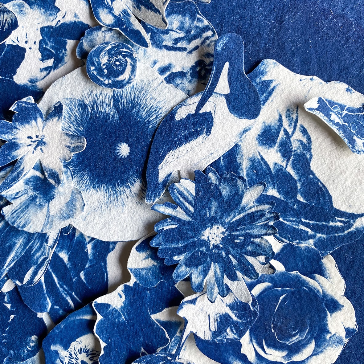 THE FLOWERING GENIUS (ODE TO MARIA MERIAN)