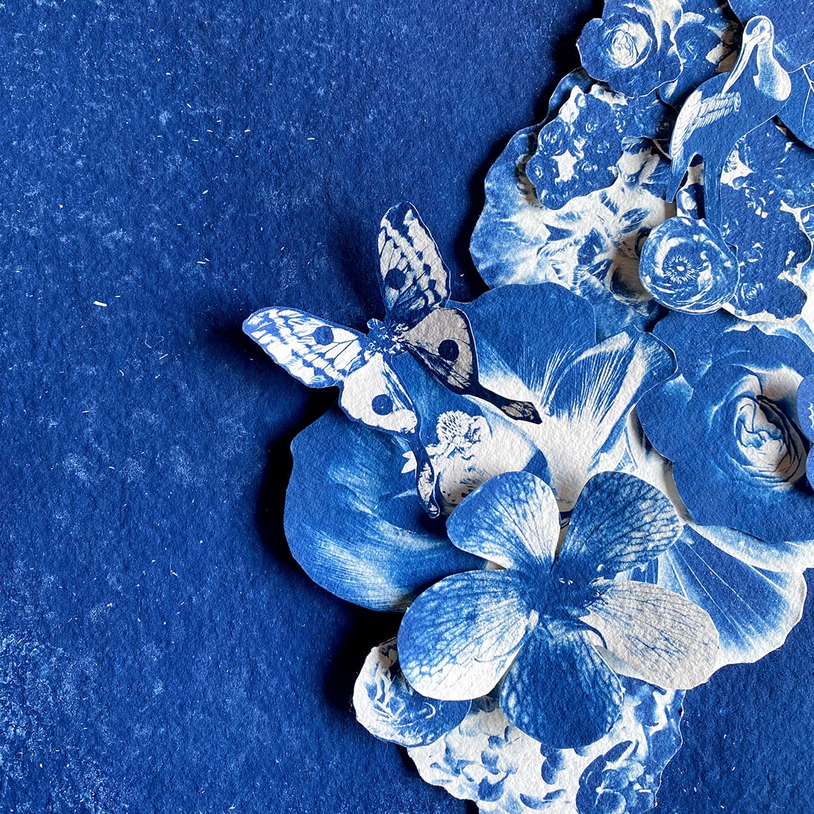 THE FLOWERING GENIUS (ODE TO MARIA MERIAN)