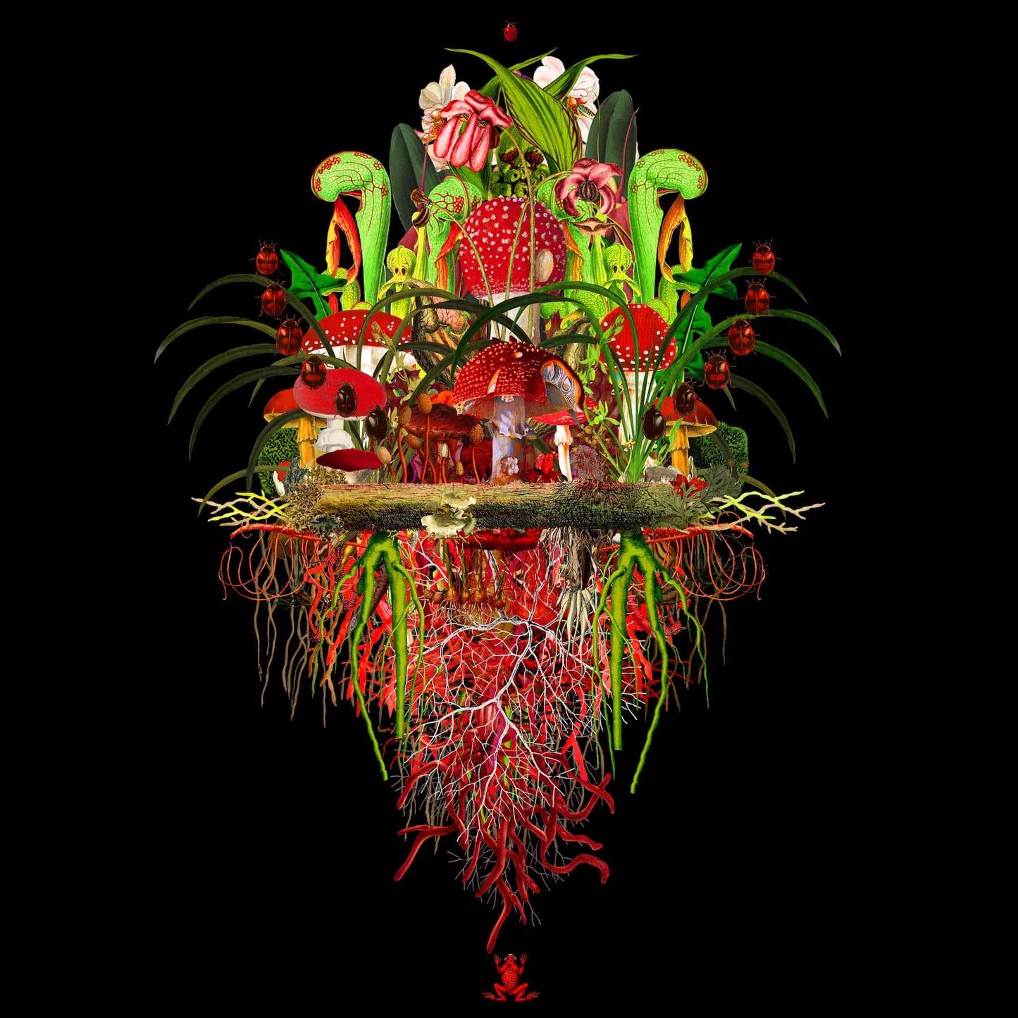 BOTANICALS: EVERGLADE TROUPE