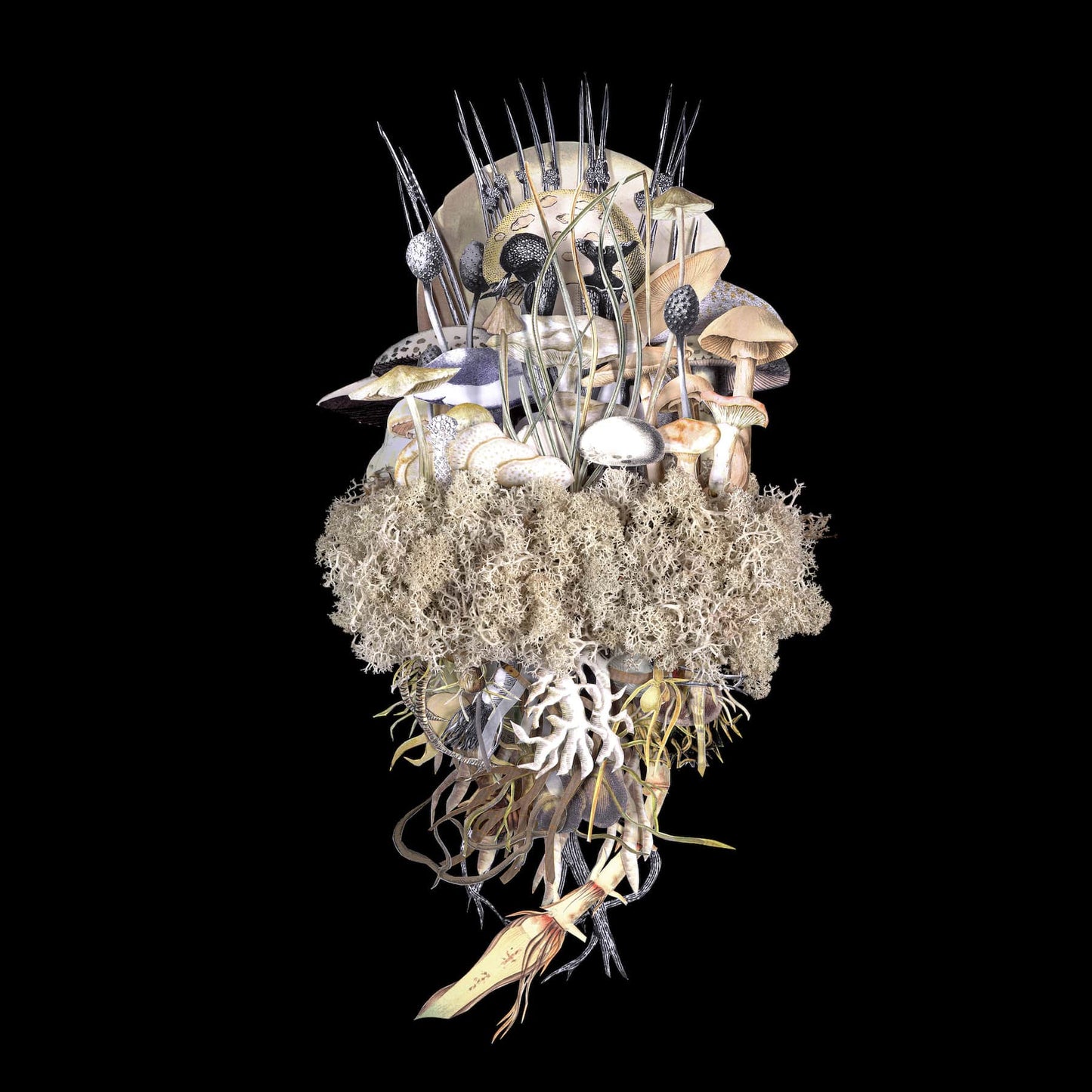 BOTANICALS: WINTER TROUPE