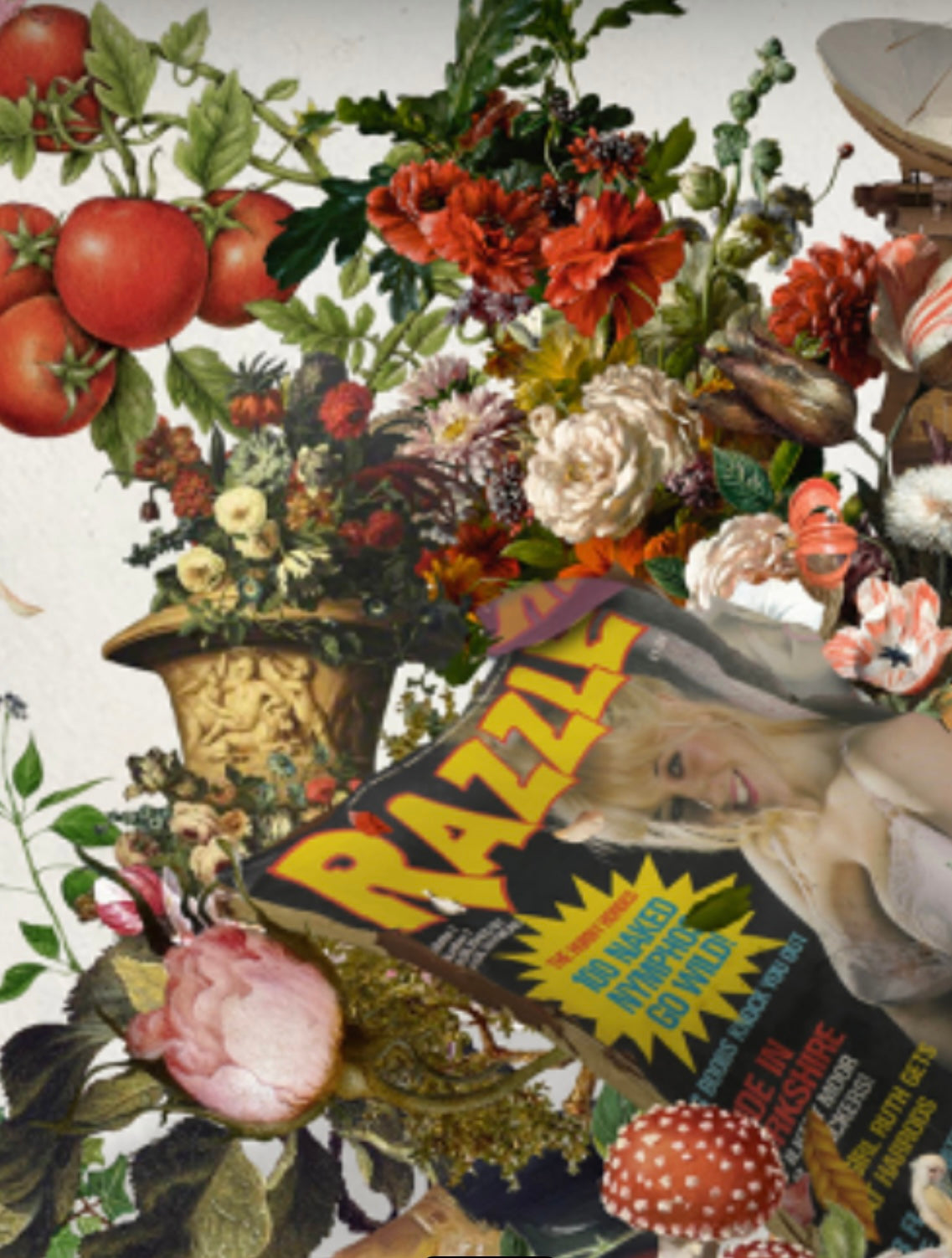 DIRTY MAGAZINE IN THE WOODS