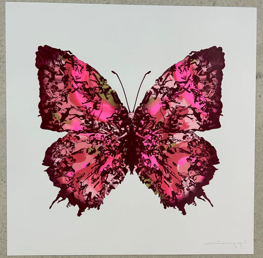 Original butterfly mono print in Pink