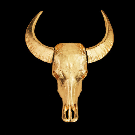 Gold Leaf Water Buffalo Skull