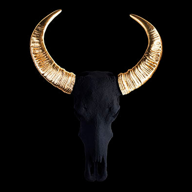 Black Pigment Water Buffalo Skull